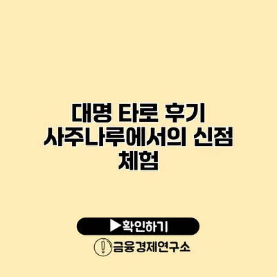 대명 타로 후기 사주나루에서의 신점 체험