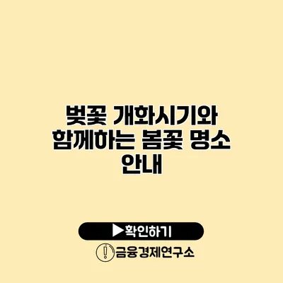 벚꽃 개화시기와 함께하는 봄꽃 명소 안내