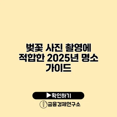 벚꽃 사진 촬영에 적합한 2025년 명소 가이드