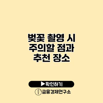벚꽃 촬영 시 주의할 점과 추천 장소