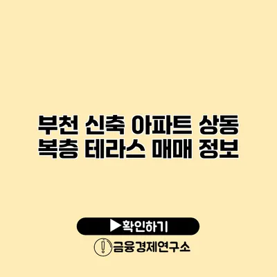 부천 신축 아파트 상동 복층 테라스 매매 정보