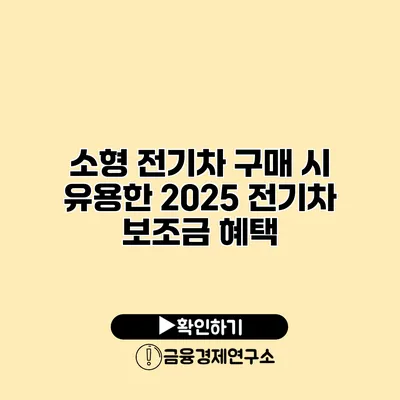 소형 전기차 구매 시 유용한 2025 전기차 보조금 혜택