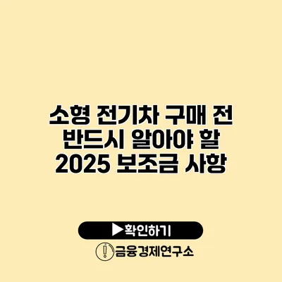 소형 전기차 구매 전 반드시 알아야 할 2025 보조금 사항