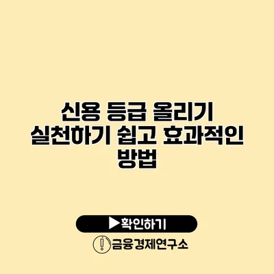 신용 등급 올리기 실천하기 쉽고 효과적인 방법