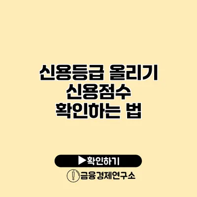 신용등급 올리기 신용점수 확인하는 법