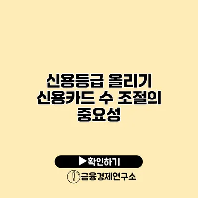 신용등급 올리기 신용카드 수 조절의 중요성