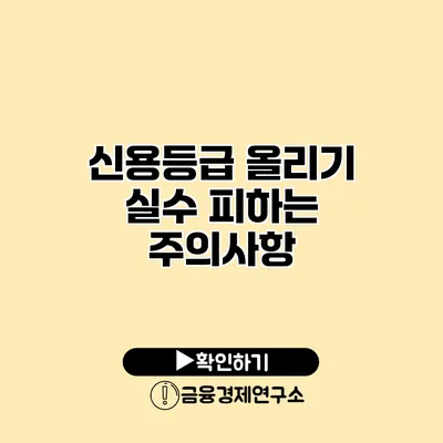 신용등급 올리기 실수 피하는 주의사항