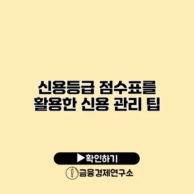 신용등급 점수표를 활용한 신용 관리 팁