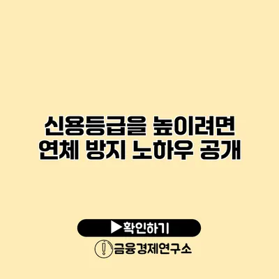 신용등급을 높이려면? 연체 방지 노하우 공개