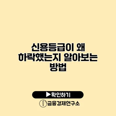 신용등급이 왜 하락했는지 알아보는 방법