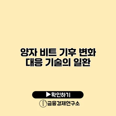 양자 비트 기후 변화 대응 기술의 일환