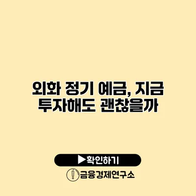 외화 정기 예금, 지금 투자해도 괜찮을까?