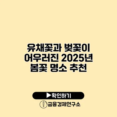 유채꽃과 벚꽃이 어우러진 2025년 봄꽃 명소 추천