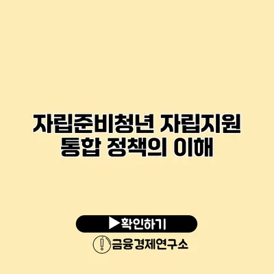 자립준비청년 자립지원 통합 정책의 이해