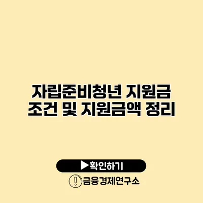 자립준비청년 지원금 조건 및 지원금액 정리