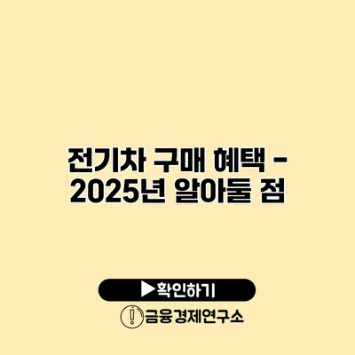 전기차 구매 혜택 - 2025년 알아둘 점