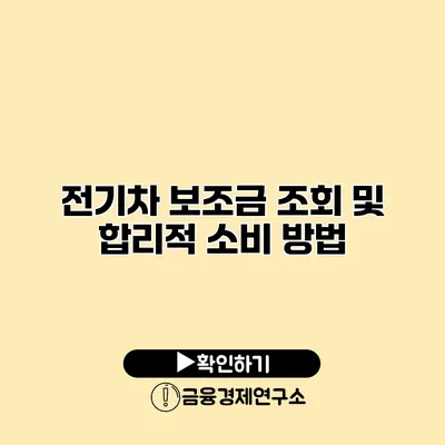 전기차 보조금 조회 및 합리적 소비 방법