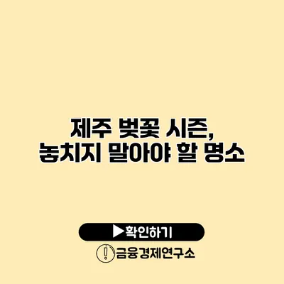 제주 벚꽃 시즌, 놓치지 말아야 할 명소