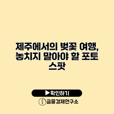 제주에서의 벚꽃 여행, 놓치지 말아야 할 포토 스팟