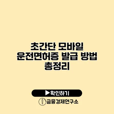 초간단 모바일 운전면허증 발급 방법 총정리