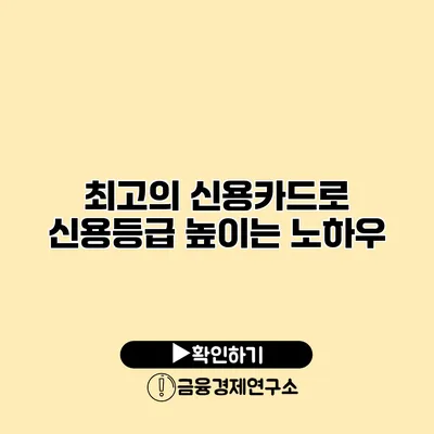 최고의 신용카드로 신용등급 높이는 노하우