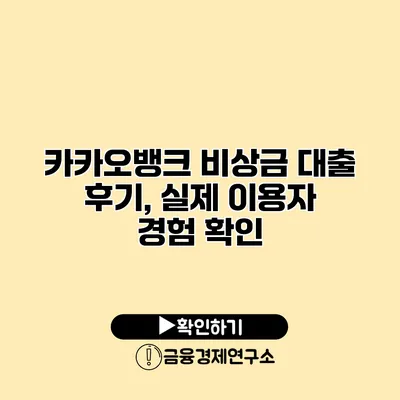 카카오뱅크 비상금 대출 후기, 실제 이용자 경험 확인