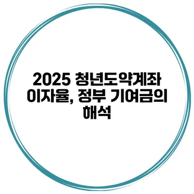 2025 청년도약계좌 이자율, 정부 기여금의 해석