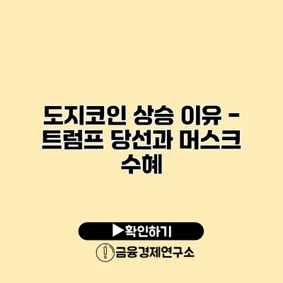 도지코인 상승 이유 - 트럼프 당선과 머스크 수혜