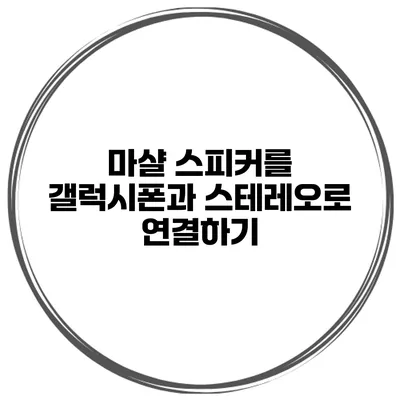 마샬 스피커를 갤럭시폰과 스테레오로 연결하기