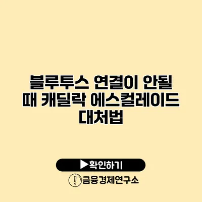 블루투스 연결이 안될 때 캐딜락 에스컬레이드 대처법