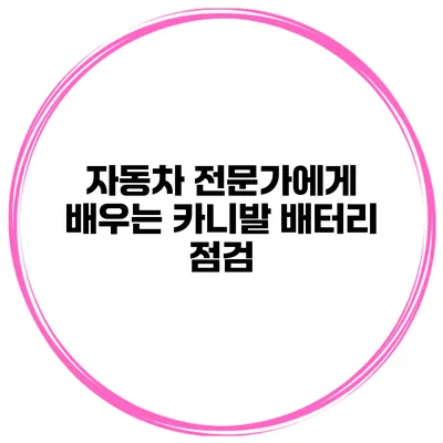 자동차 전문가에게 배우는 카니발 배터리 점검