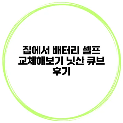 집에서 배터리 셀프 교체해보기 닛산 큐브 후기