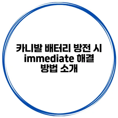 카니발 배터리 방전 시 immediate 해결 방법 소개