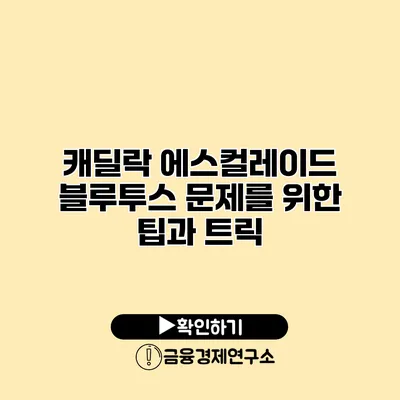 캐딜락 에스컬레이드 블루투스 문제를 위한 팁과 트릭