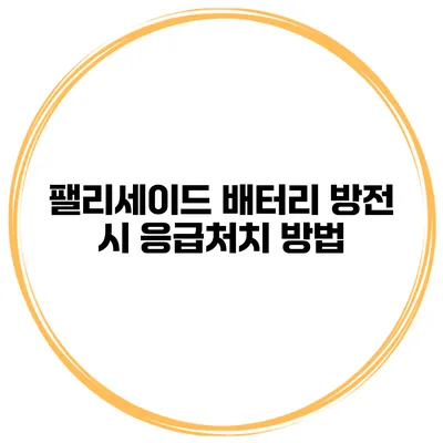 팰리세이드 배터리 방전 시 응급처치 방법
